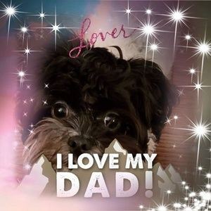 Meet your Posher, Steven